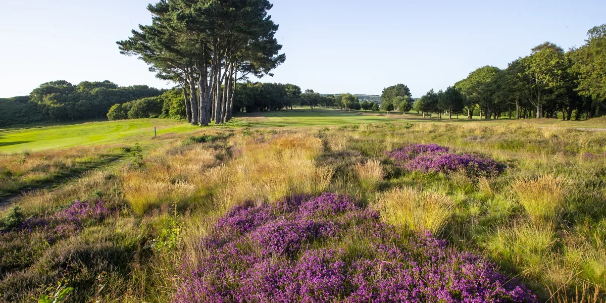 Shanklin & Sandown Golf Club